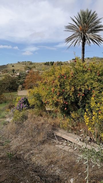 CASA PANORAMICA CON TERRENO PULIZZI ORLANDO – CDA SAVARINI