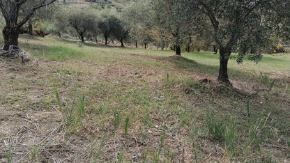 CASA PANORAMICA CON TERRENO PULIZZI ORLANDO – CDA SAVARINI
