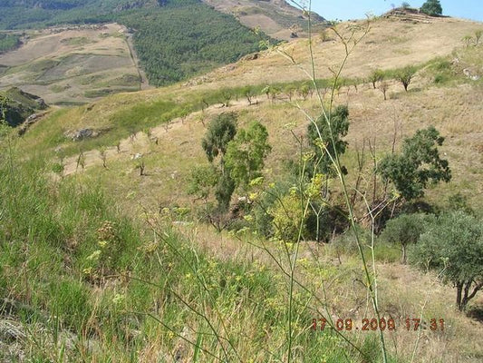 TERRENO PANORAMICO FINN – CDA FEOTTO