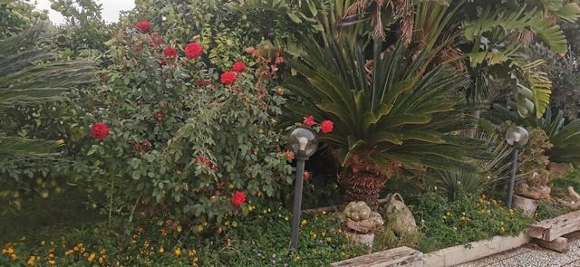VILLA E TERRENO CDA RAGANA – SAN MARCO (AG)