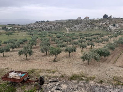 TERRENO PANORAMICO BUTTAFUOCO – SICULIANA (AG)