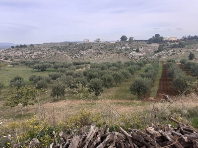 TERRENO PANORAMICO BUTTAFUOCO – SICULIANA (AG)