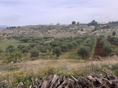 TERRENO PANORAMICO BUTTAFUOCO – SICULIANA (AG)