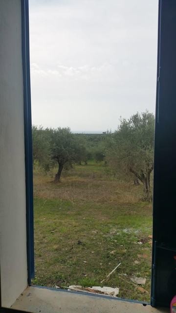VILLA E TERRENO NAPOLI – RIBERA (AG)