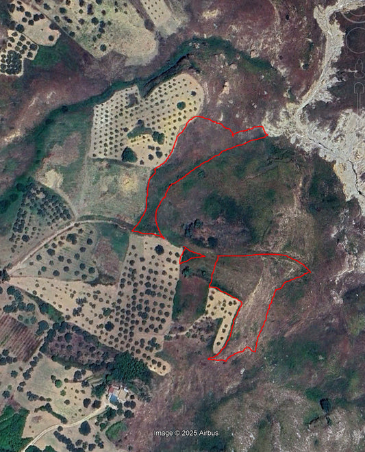 TERRENO RADOSTA – CDA MENDOLA