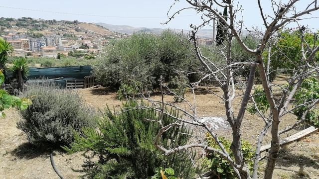 VILLA GIGLIONE – VILLAGGIO MOSE'