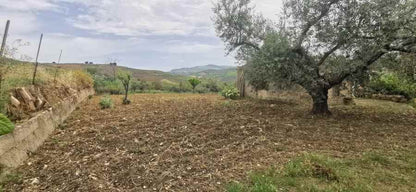 CAPANNONE E TERRENO GAMBINO CONTRADA CICCIONE
