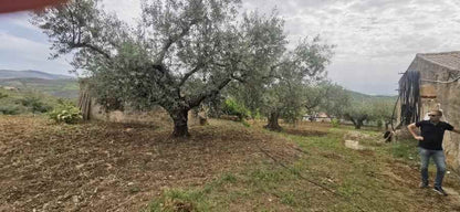 CAPANNONE E TERRENO GAMBINO CONTRADA CICCIONE