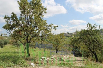 HOUSE AND LAND GIUSEPPE CONTRADA QUARTO DI ROCCHI - PROPERTY IN SICILY