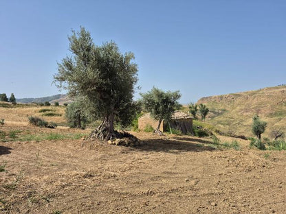 RURAL BUILDING WITH LAND – CONTRADA CASTELLACCIO