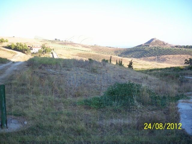 LAND PUGLISI - ERACLEA MINOA (AG) - PROPERTY IN SICILY