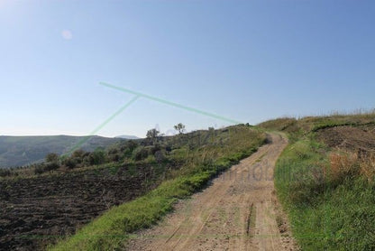 HOUSE AND LAND PENDINO - CONTRADA CINIE', PROPERTY IN SICILY