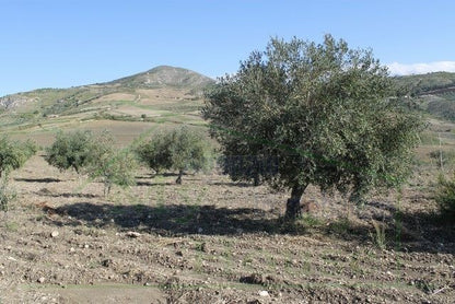 HOUSE AND LAND PENDINO - CONTRADA CINIE', PROPERTY IN SICILY