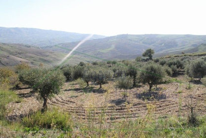 HOUSE AND LAND PENDINO - CONTRADA CINIE', PROPERTY IN SICILY