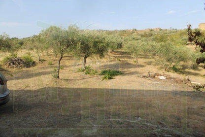 HOUSE AND LAND MICHELE – CDA CASTELLACCIO - PROPERTY IN SICILY