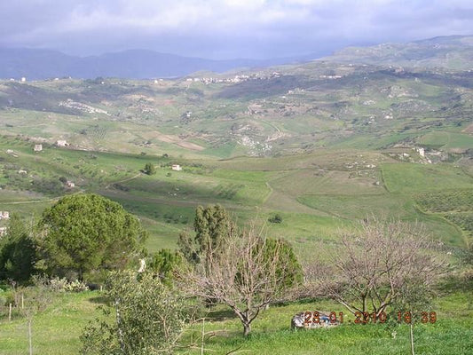 TERRENO PACE CONTRADA PETRARO
