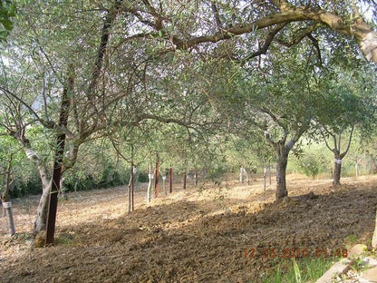 VILLETTA CON PISCINA