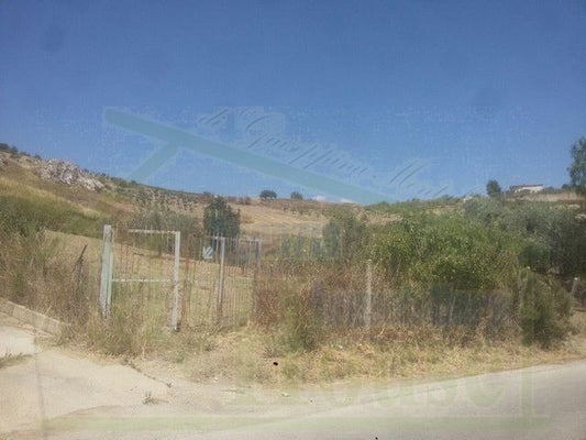 TERRENO VACCARO – CONTRADA QUARTO ROCCHI