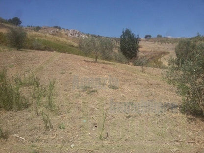 TERRENO VACCARO – CONTRADA QUARTO ROCCHI