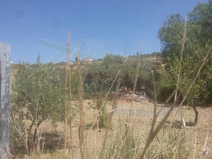 TERRENO VACCARO – CONTRADA QUARTO ROCCHI