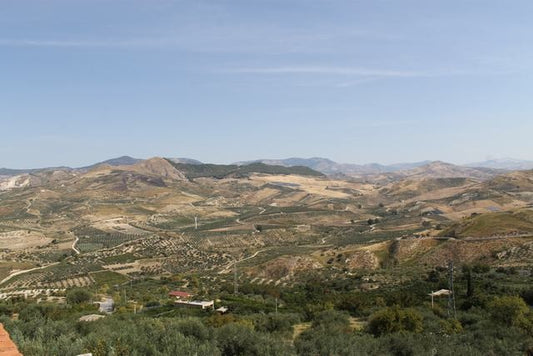 VILLA COCCHIARA - CALAMONACI