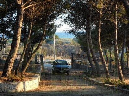 PRESTIGIOSA VILLA A SECCGRANDE