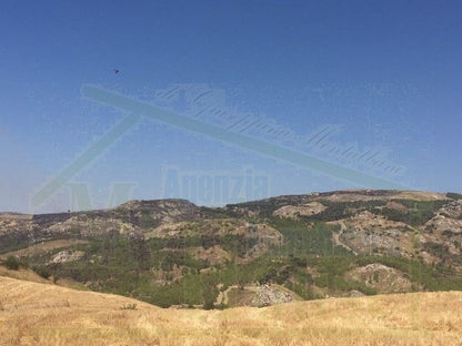 TERRENO FEUDO ALESSANDRIA