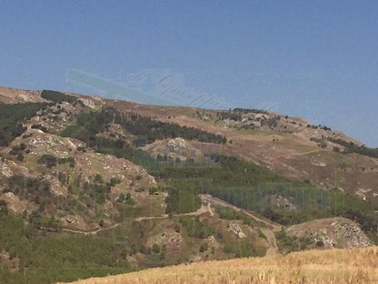 TERRENO FEUDO ALESSANDRIA