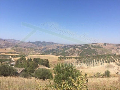 TERRENO FEUDO ALESSANDRIA
