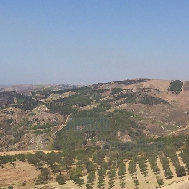 TERRENO FEUDO ALESSANDRIA