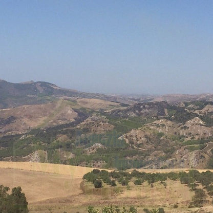 TERRENO FEUDO ALESSANDRIA