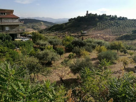 TERRENO COSTA – Contrada Catrini - Alessandria della Rocca