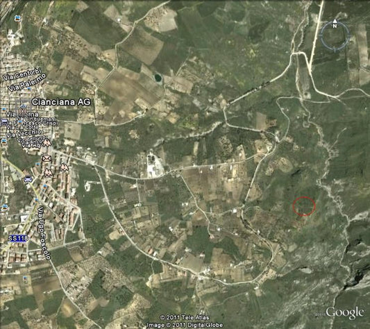 TERRENO ALFANO CONTRADA MANDORLA