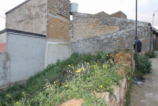 TERRENO BAVUSO VIA PERCIO'