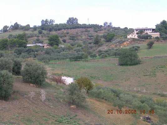 TERRENO CILONA CONTRADA SCIBBOLONE