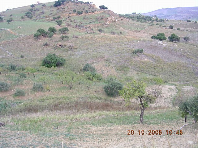 TERRENO CILONA CONTRADA SCIBBOLONE