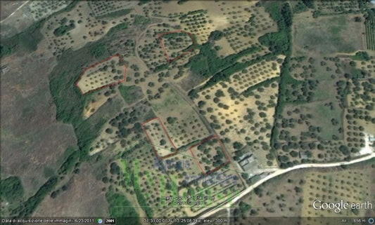 TERRENO SCHEMBRI CONTRADA ALBANO