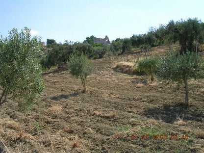 TERRENO GUSCIGLIO - CDA MARULLO