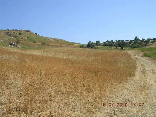 TERRENO TAMBURELLO PENDINO CDA FEOTTO