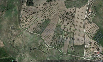 TERRENO FRAGOLA CONTRADA QUARTO ROCCHI