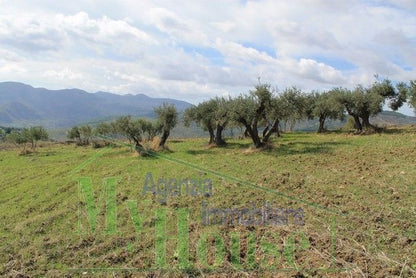 TERRENO PULIZZI CONTRADA NANNU