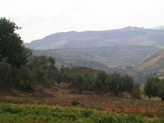 TERRENO TAMBURELLO - TERRENO E CASA