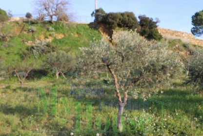LOTTO PANORAMICO CALVARIO