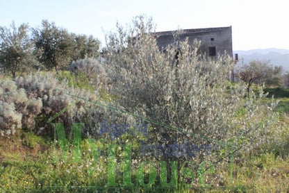 LOTTO PANORAMICO CALVARIO