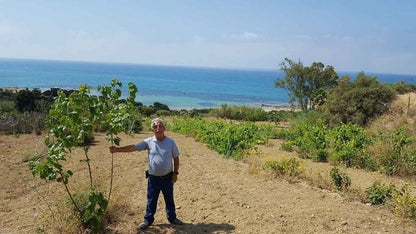 FANTASTICO TERRENO LUNGO LA COSTA SUD - PERGOLE REALMONTE