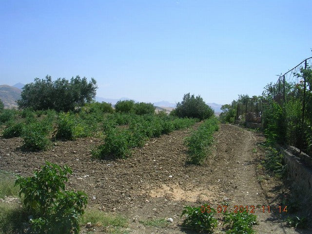 LOTTO TERRENO CONTRADA SERRA