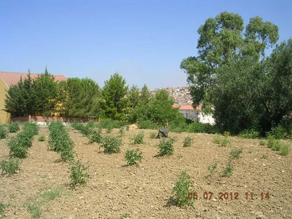 LOTTO TERRENO CONTRADA SERRA