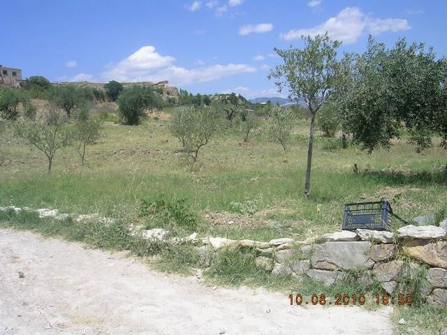 TERRENO CONTRADA STAZIONE