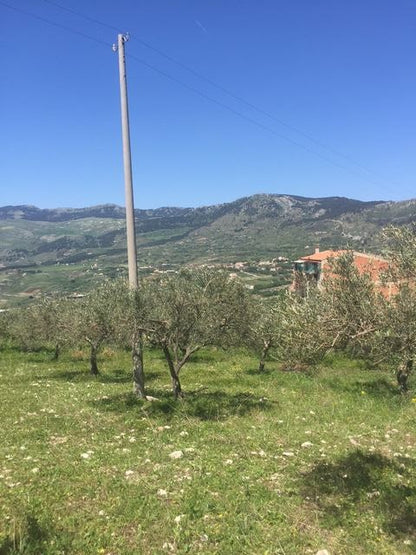 TERRENO PIZZUTO – SANTO STEFANO QUISQUINA (AG)