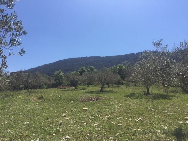 TERRENO PIZZUTO – SANTO STEFANO QUISQUINA (AG)